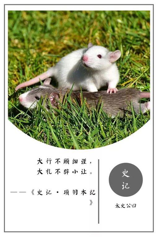 史记经典名言摘录