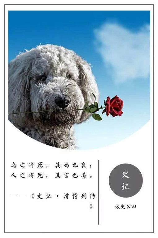 史记经典名言摘录