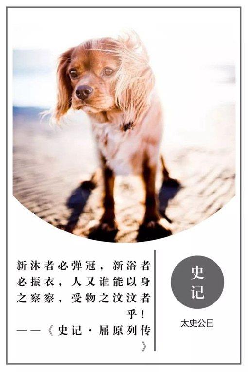 史记经典名言摘录