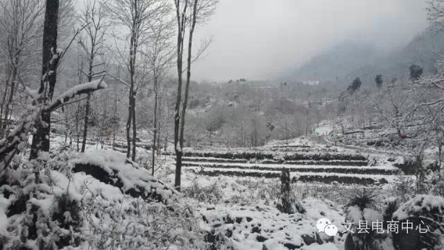 陇南最佳旅游胜地（最美陇南文县碧口古镇）(16)