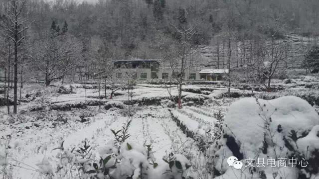 陇南最佳旅游胜地（最美陇南文县碧口古镇）(15)