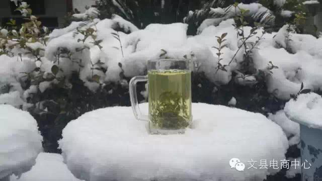 陇南最佳旅游胜地（最美陇南文县碧口古镇）(14)