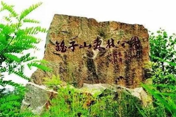 蚌埠十大旅游景点有哪些（蚌埠十大最好玩的旅游景点）(9)