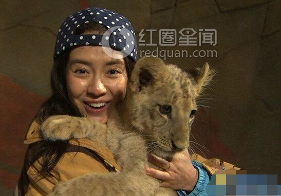 宋智孝袭胸事件内幕 宋智孝胸部走光照片