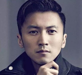 ​48岁谢霆锋有多有灵魂（摔吉他深陷顶包案）