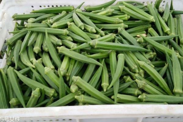 秋葵是哪里的特产 来自外国