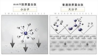 ​胶原肽是什么,胶原蛋白肽是什么提取的呢有什么作用呢