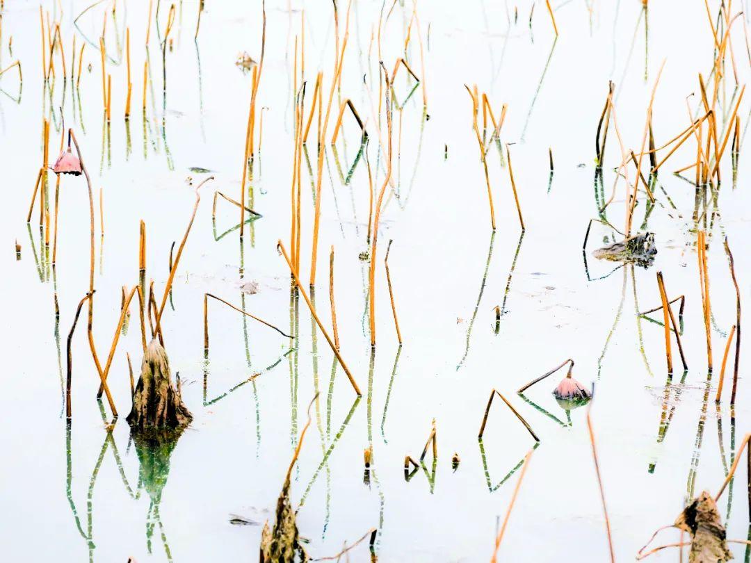 姜夔简介及作品（姜夔最经典的10首诗词，暗香疏影，月冷千山，美到灵魂里）