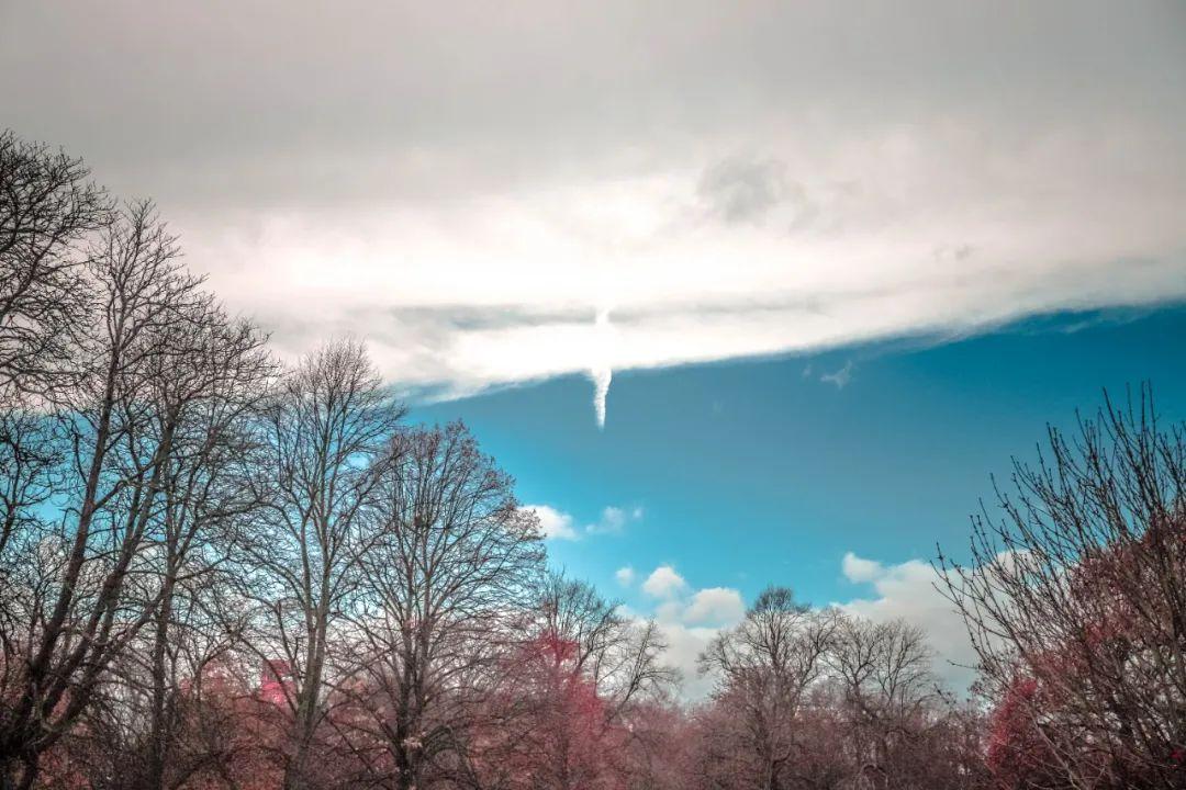 姜夔简介及作品（姜夔最经典的10首诗词，暗香疏影，月冷千山，美到灵魂里）