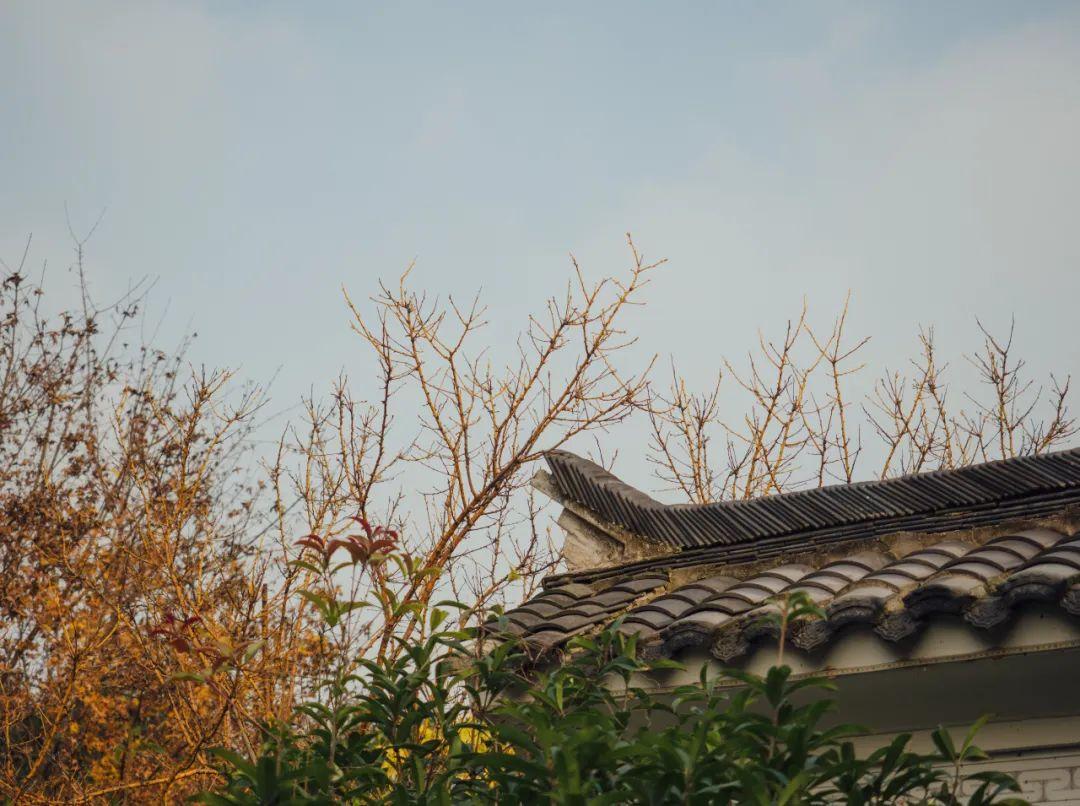 姜夔简介及作品（姜夔最经典的10首诗词，暗香疏影，月冷千山，美到灵魂里）