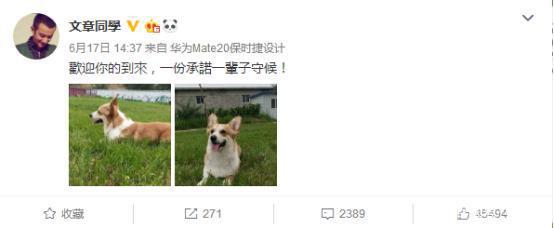 马伊琍姚笛文章怎么回事(周一见后抛弃姚笛)(20)