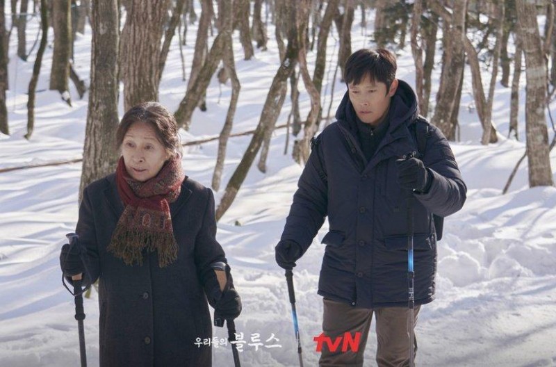 韩国最近很火的电视剧（推特最热门韩剧TOP8）