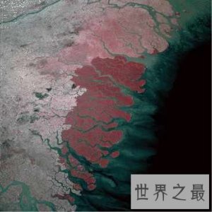 ​世界上最大的三角洲