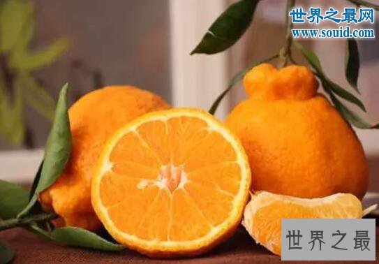 世界上最贵的水果，美国草莓阿诺140万美元一碗