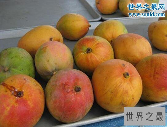 世界上最贵的水果，美国草莓阿诺140万美元一碗