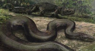 世界上最大的蟒蛇，你能想象有多大吗？它可以吃掉几百斤的鳄鱼