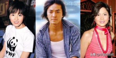 ​梁咏琪郑伊健（不仅毁了郑伊健的前途）