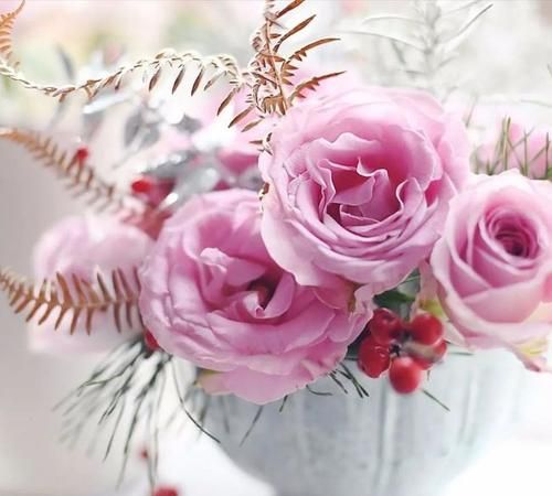 佛教莲花图片大全头像