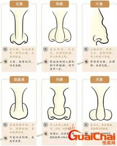 ​鼻子大面相？鼻子大男人说明什么