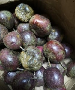 ​百香果长白毛能吃,百香果外面黑了里面还能吃吗