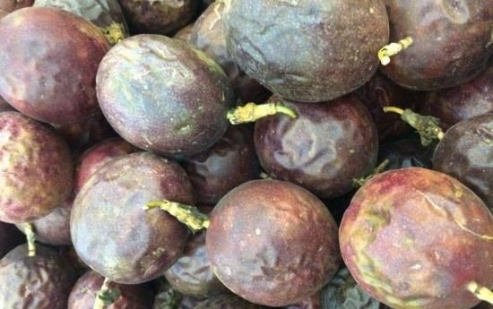 百香果长白毛能吃吗