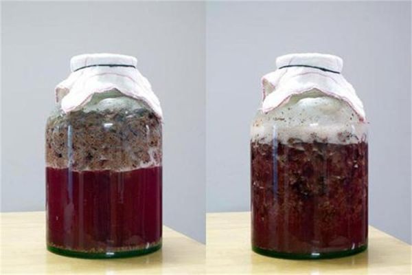 葡萄酒多久酿好