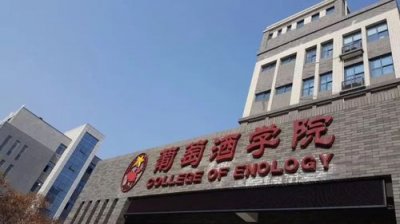 ​宁大葡萄酒学院是几本(宁大葡萄酒学院,是不是211大学生)