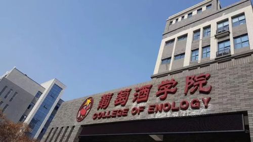 宁大葡萄酒学院