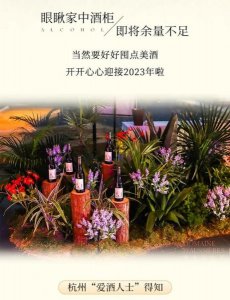 ​澳希露酒价格_澳希露酒价格表图片