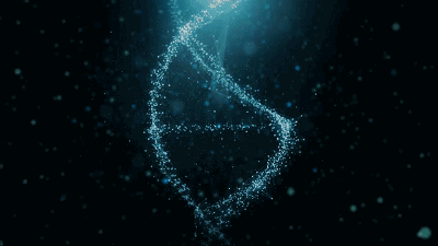 克隆技术给我们带来了哪些坏处（克隆技术为什么）(4)