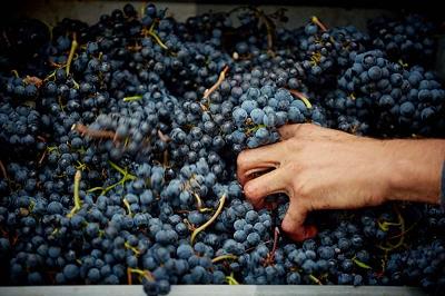 白酒度数标准最高多少度