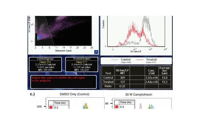 怎么知道男生喜不喜欢你,看他这几种表现就懂了 怎么知道男生喜不喜欢你,看他这几种表现就懂了