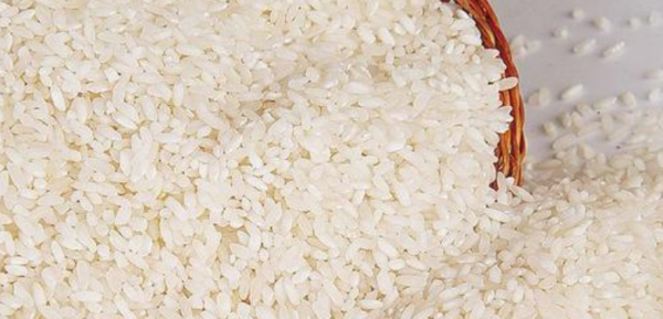 米里有黑色的小虫还能吃,大米里面有黑色虫子怎么办图3