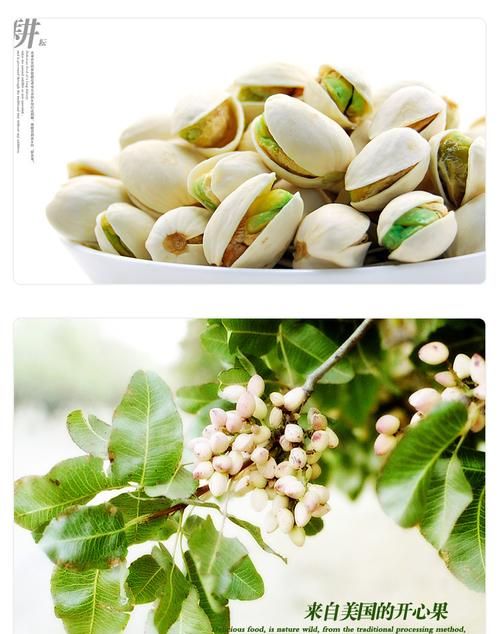 开心果产地一般主要分布在：开心果的产地是哪里