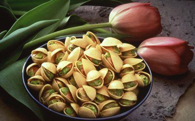 开心果产地一般主要分布在,开心果在中国的产地是哪里图3