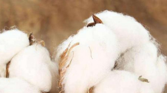 长期戴口罩对脸部的影响,长期戴口罩会变丑吗图10