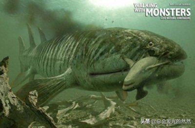 远古生物来袭,从寒武纪到恐龙时代!(二)
