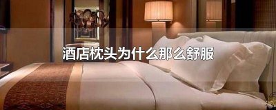为什么酒店的枕头舒服一些 为什么酒店的枕头特别的舒服