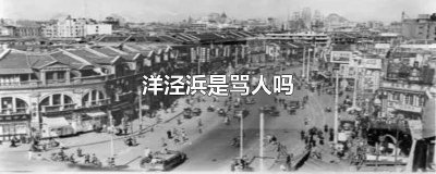 ​洋泾浜口音 上海方言骂人脏话