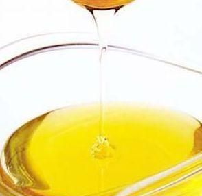 都说冬天要养膘什么意思