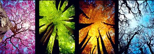 周易八卦六爻实例图解大全（如何利用爻象规律进行预测）(5)