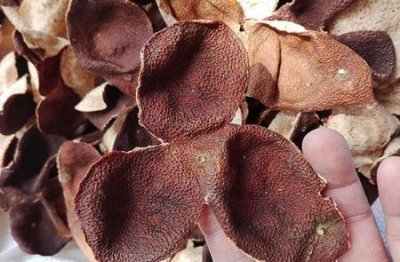 如何做陈皮(陈皮的自制方法)