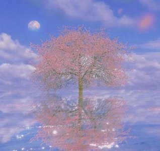 微信一句话签名经典语句(微信个性签名经典语句励志)