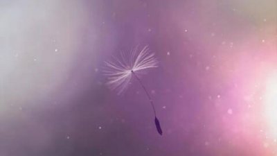 选择大于努力励志句子(激励自己努力的句子有深度)