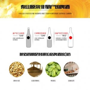 泰山原浆啤酒销售现状(泰山原浆啤酒的销售预测)