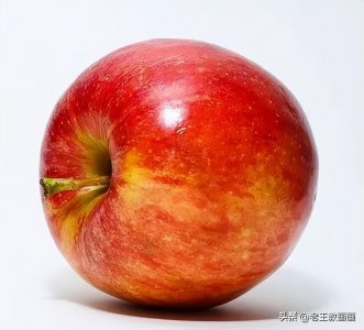 新手入门素描画 ,教你画一个苹果