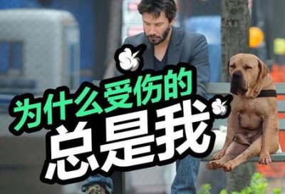 ​为什么基努里维斯不火