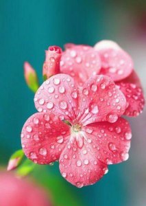 ​怎样可以忘掉一个人,不去想他