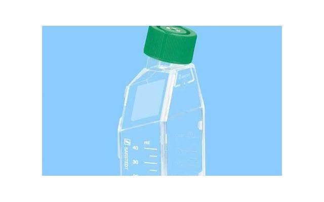 被欺骗结婚是否属于无效婚姻