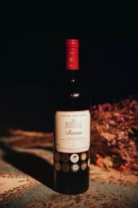 圣路易斯干红(圣路易斯干红葡萄酒多少一瓶)